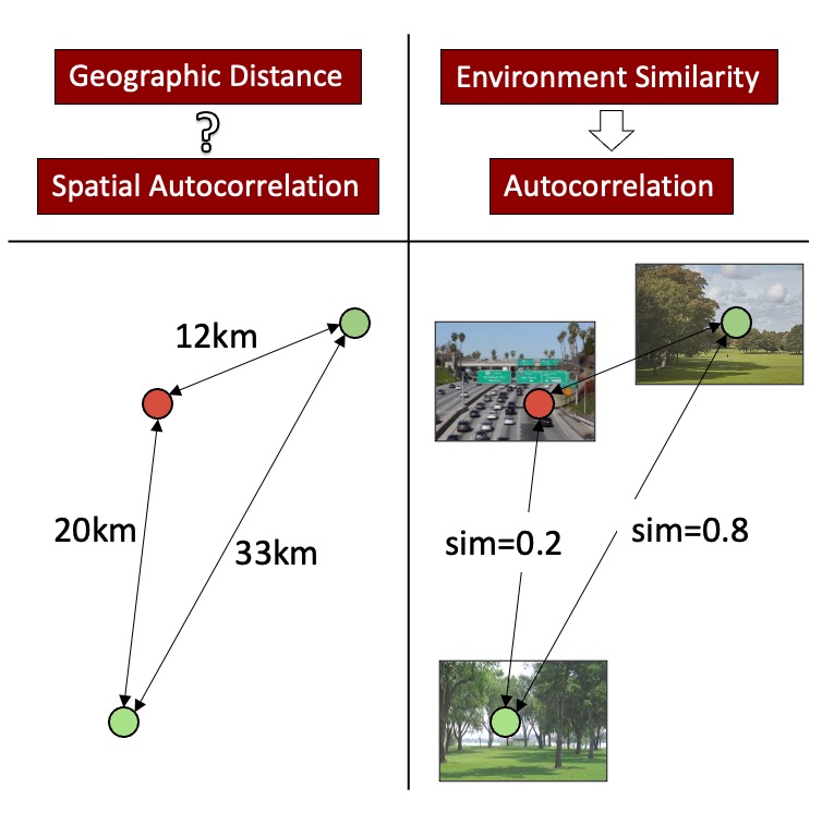 DeepLATTE illustration